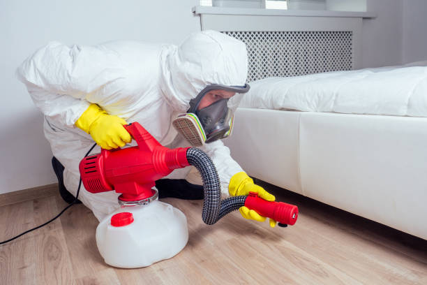 Reliable Anoka, MN Pest Control Solutions