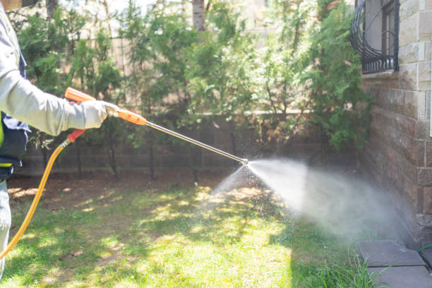 Insect Control in Anoka, MN