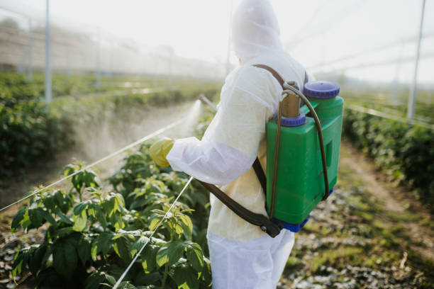 Best Pest Control Near Me  in Anoka, MN